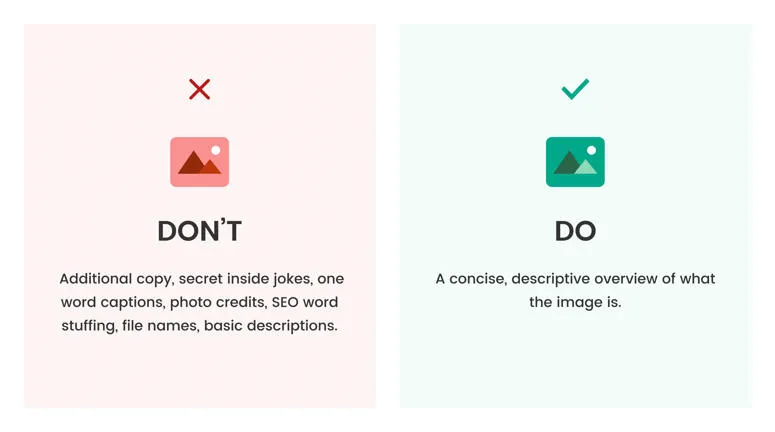 An overview of what you should and should not include when writing alt text.