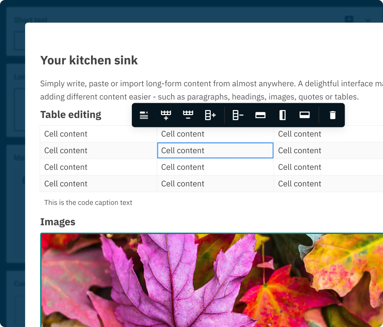 Contensis Canvas long-form content editor