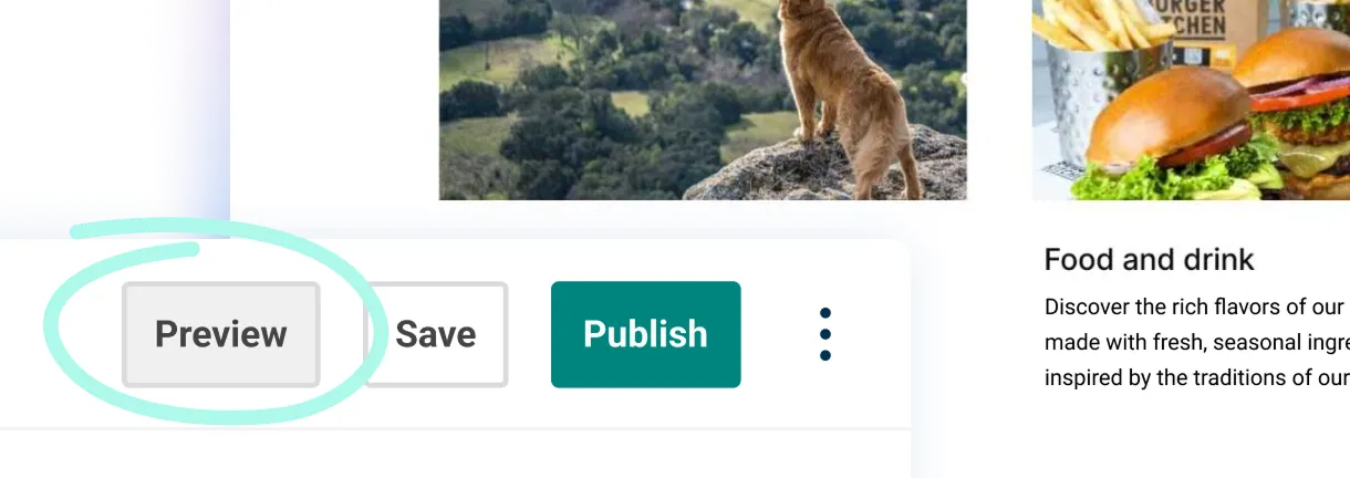 A close-up of the toolbar in the Contensis entry editor with the Preview button highlighted.