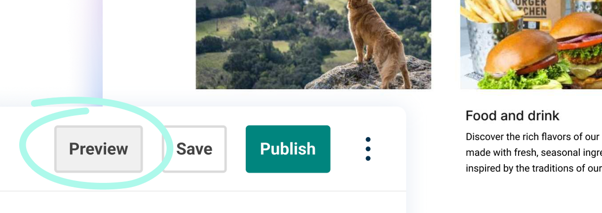 A close-up of the toolbar in the Contensis entry editor with the Preview button highlighted.