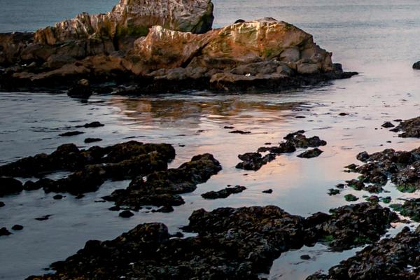 The bottom-left region of the coastal landscape, showing rocks and shallow water