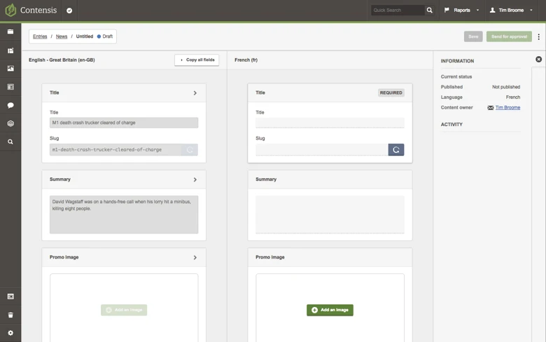 Translator editor view