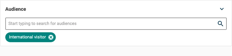 Audience search bar with Internation visitor audience button below it.